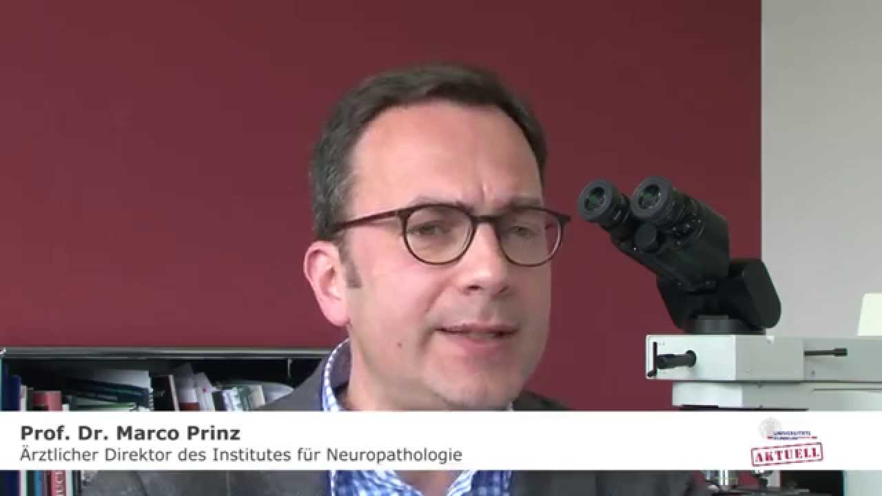 Darmbakterien sorgen für ein gesundes Gehirn