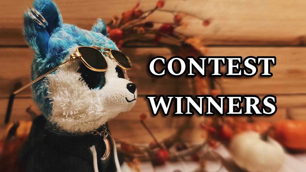 Beanie Boo custom contest WINNERS!