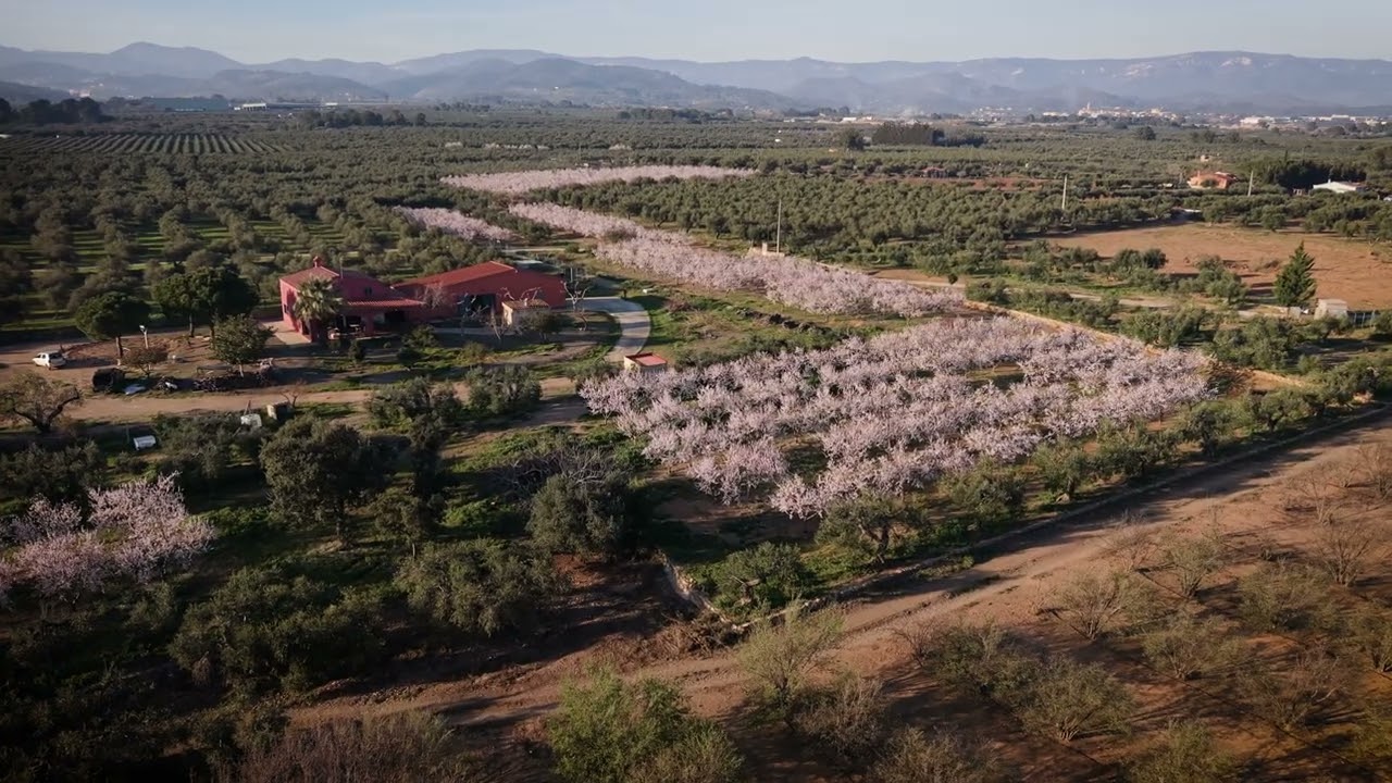 Directos a primavera: Plano de entorno y situación, orbitando