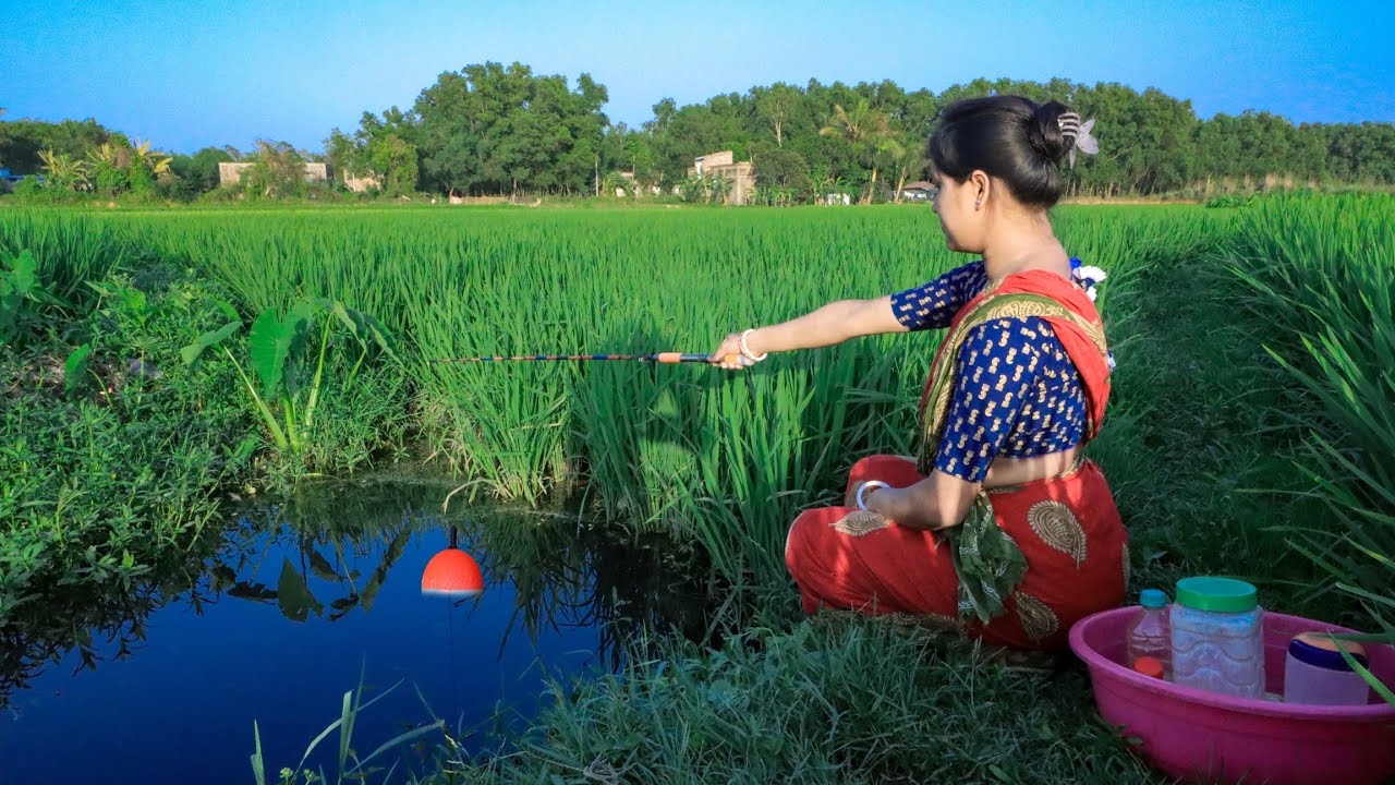 Fishing video || The smart girl always catches a lot of fish from the rice field canal with hook
