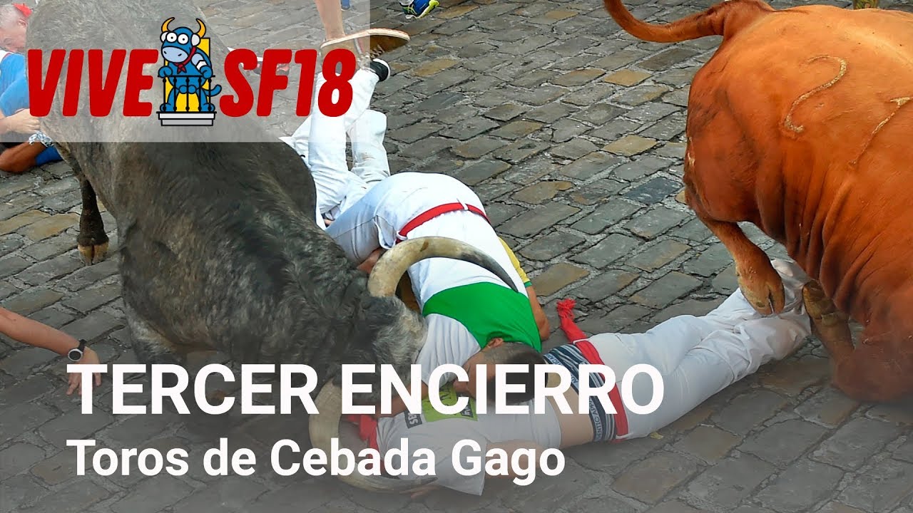 Tercer encierro de San Fermín 2018 | Toros de Cebada Gago | Vive San Fermín