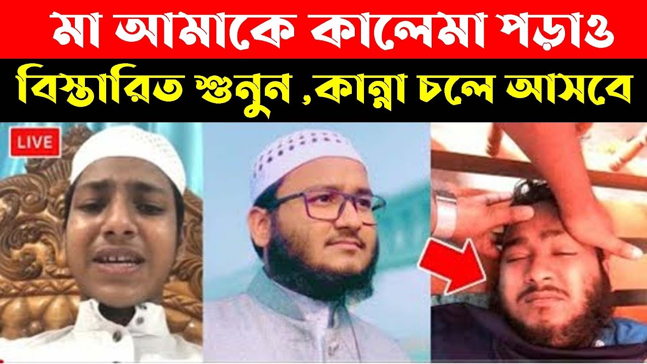 কলরবের শিল্পী মাহফুজ সম্পর্কে একি বললেন সহপাঠী শুনলে চোখে পানি ধরে রাখতে পারবেন না