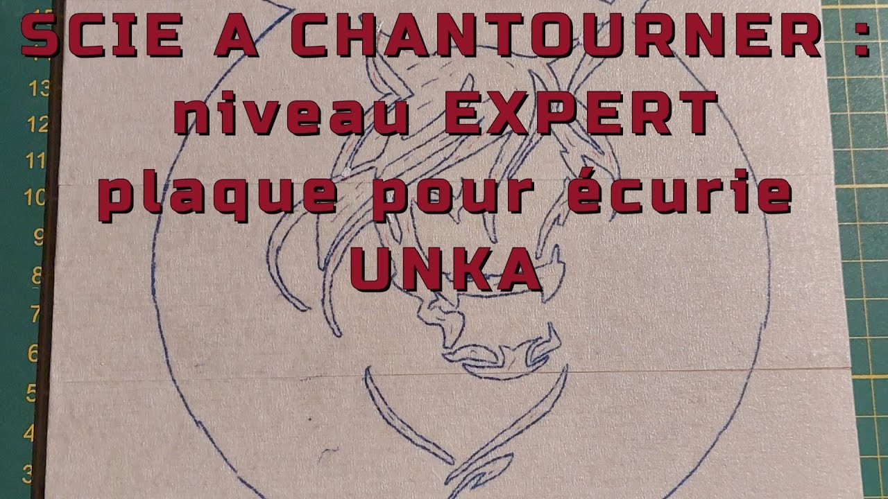 Voici comment je crée une plaque unique pour chevaux !