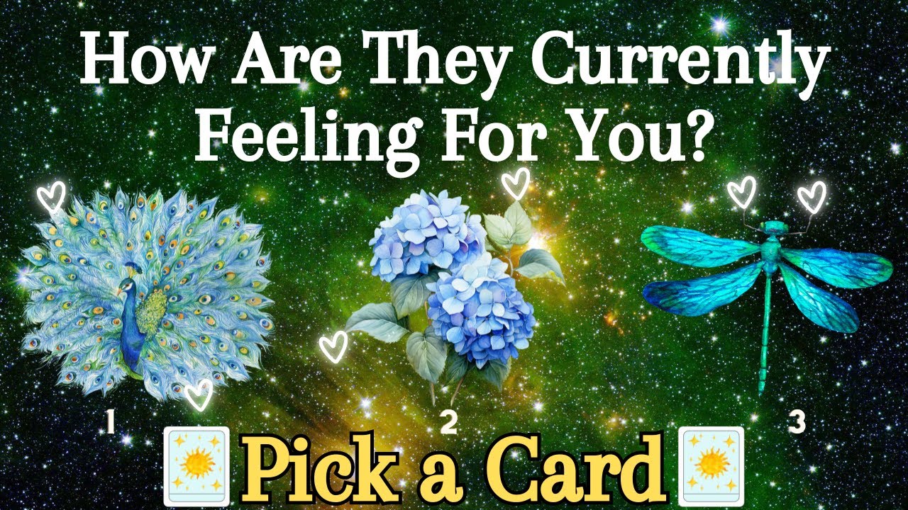 How Are They Currently Feeling About You? Their Current Feelings❀Pick a Card❀Tarot Reading