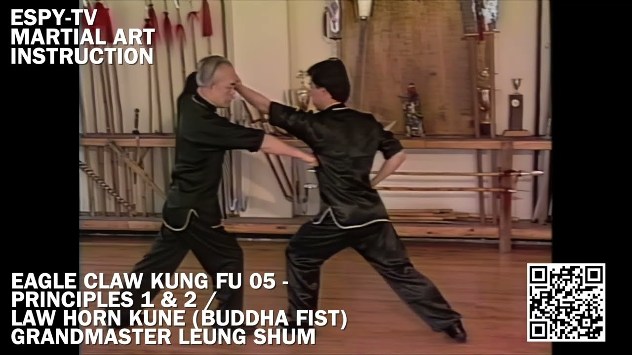 EAGLE CLAW KUNG FU 05 - PRINCIPLES 1 & 2 / LAW HORN KUNE (BUDDHA FIST) GM SHUM