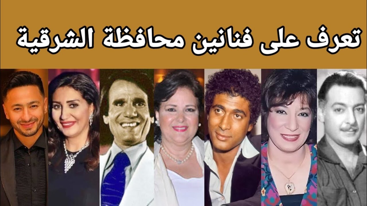 تعرف على فنانين محافظة الشرقية