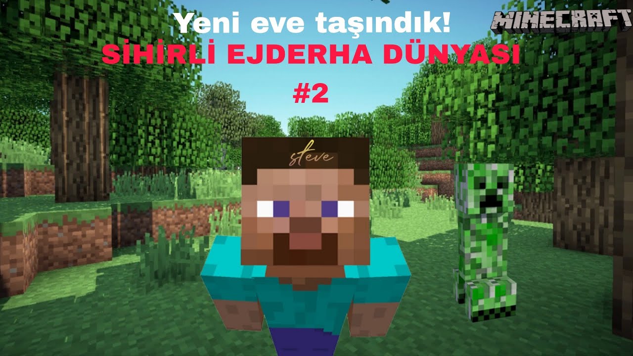 Yeni eve taşındık!  Ejderhalar geldi!  | SİHİRLİ EJDERHA DÜNYASI #2