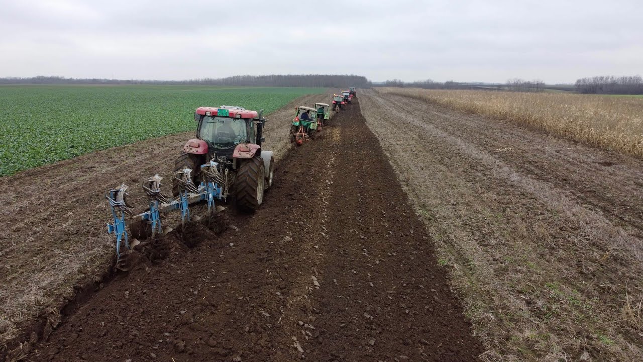 Better together! | Ploughing 2020 | Vojvodina, Serbia