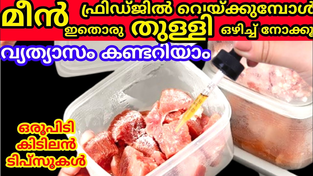 ആരെയും അത്ഭുതപെടുത്തുന്ന ചില കിടിലൻ സൂത്രങ്ങൾ| Fish storage tips | Kitchen tips and Tricks| tips