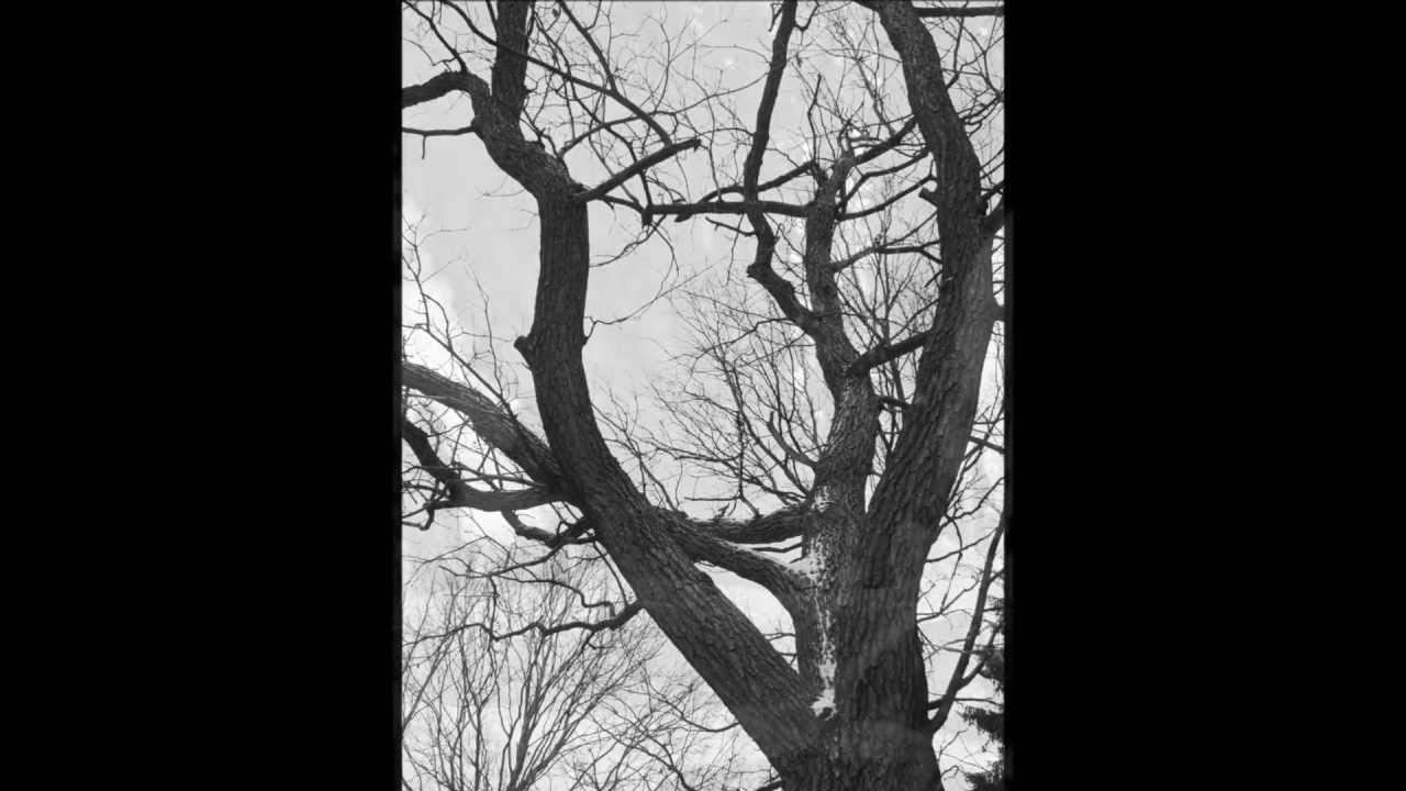 STURMPERCHT Die tausendjährige Eiche / Oak Folk