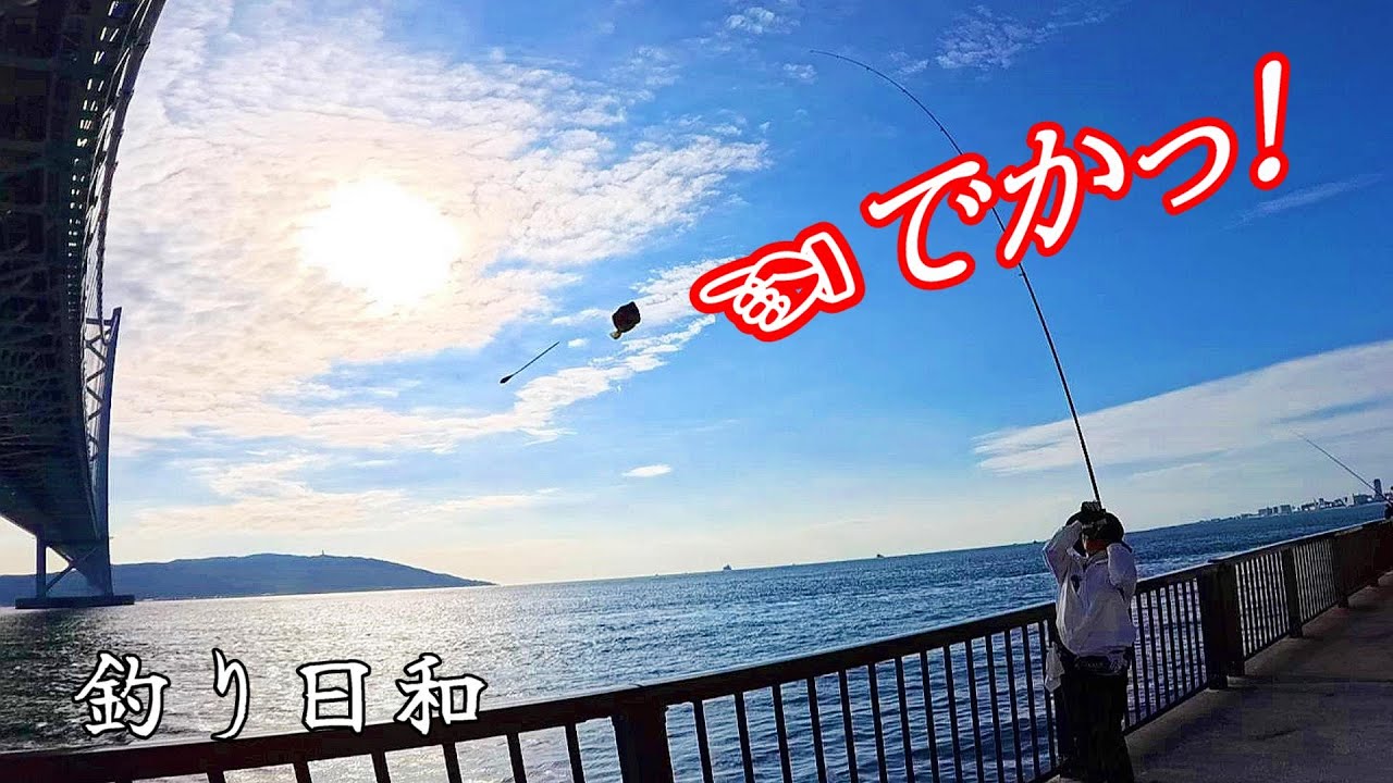 デカいカワハギ連発！釣る方法と仕掛けがコレ！【アジュール舞子】