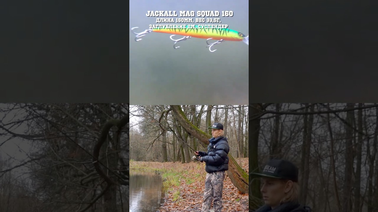 Jackall Mag Squad 160 #jackall  #fishing #рыбалка