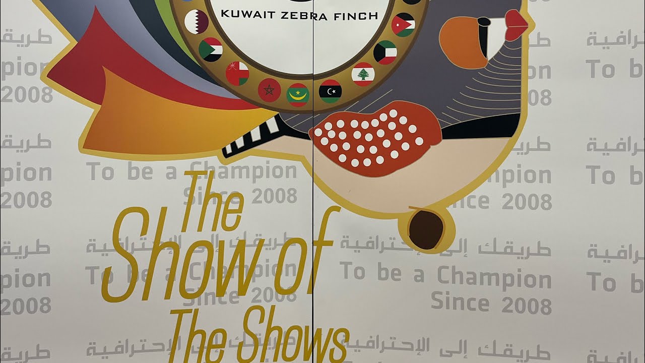 Kuwait zebra finch club show 2022