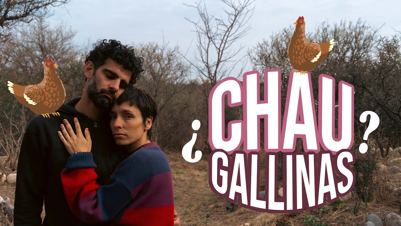 🐔 ¿QUÉ PASÓ CON LAS GALLINAS?