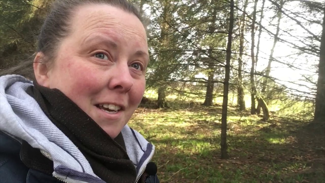 Природный заповедник RSPB Лох-Ломонд
