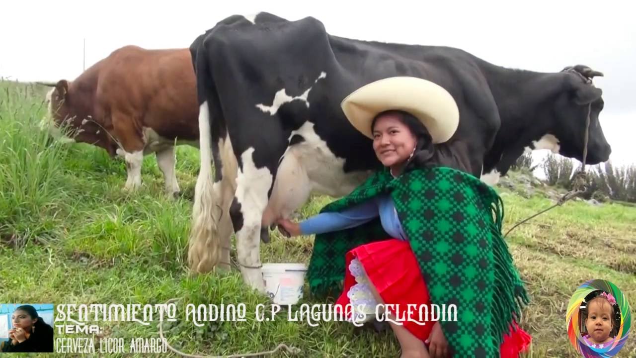 Sentimiento andino cerveza licor amargo