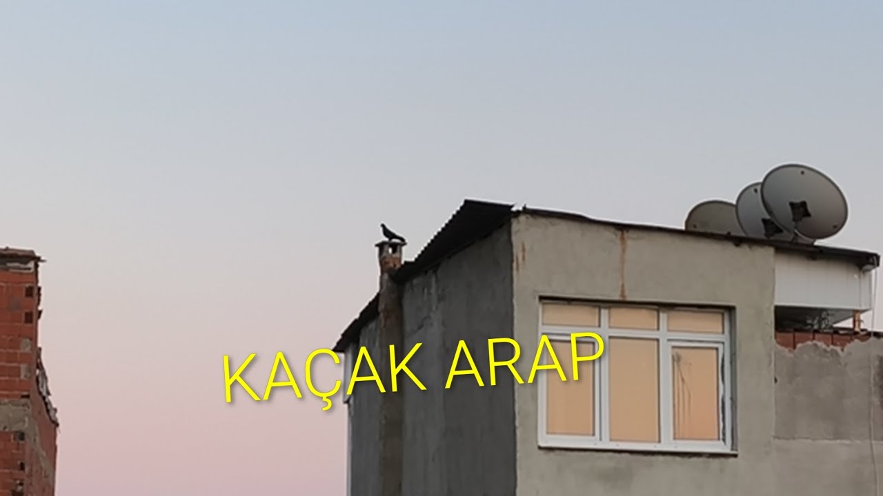 KAÇAK ARAP GELDİ YAKALAYABİLDİK Mİ?