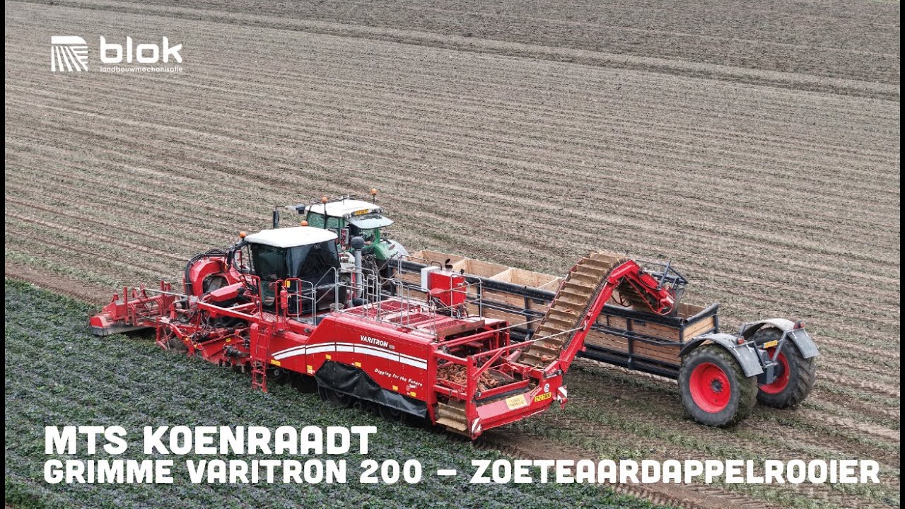Zoete aardappelen rooien met de GRIMME Varitron 200