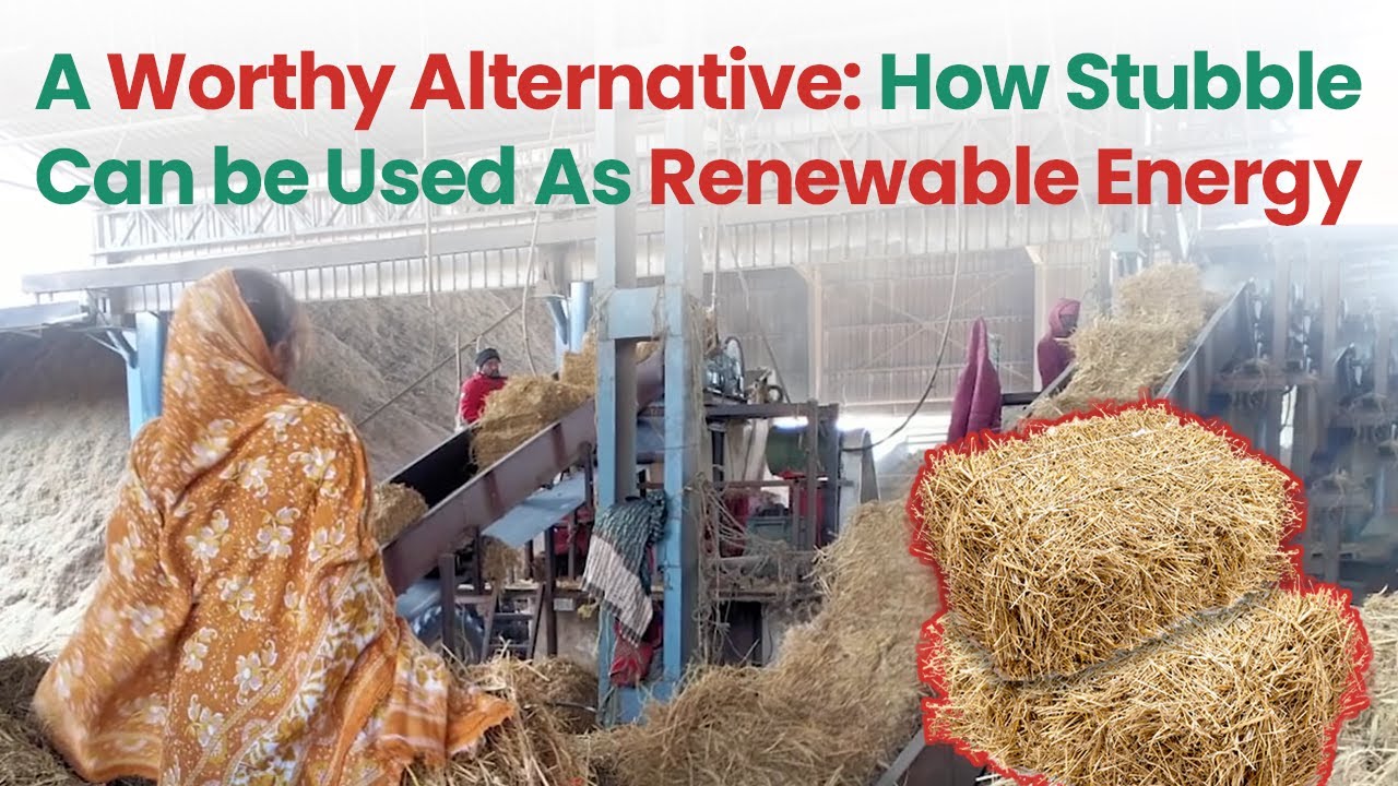 A Worthy Alternative: How Stubble Can be Used As Renewable Energy