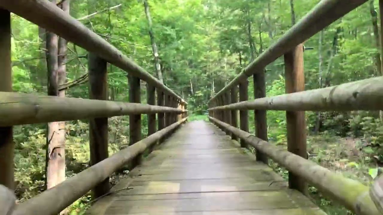 Appalachian Trail Section Hiking: Taylor’s Valley to Damascus