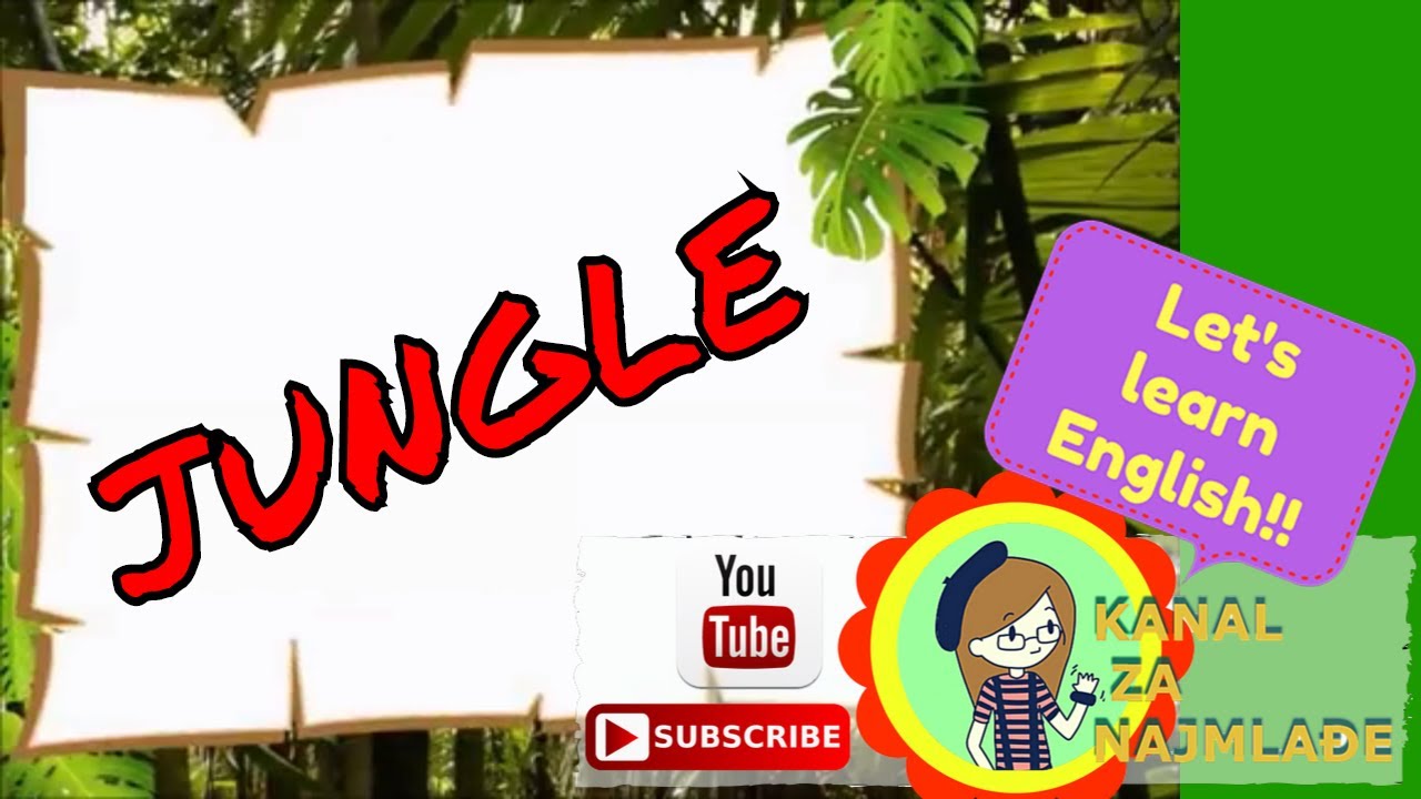 Let's learn English - Jungle vocabulary