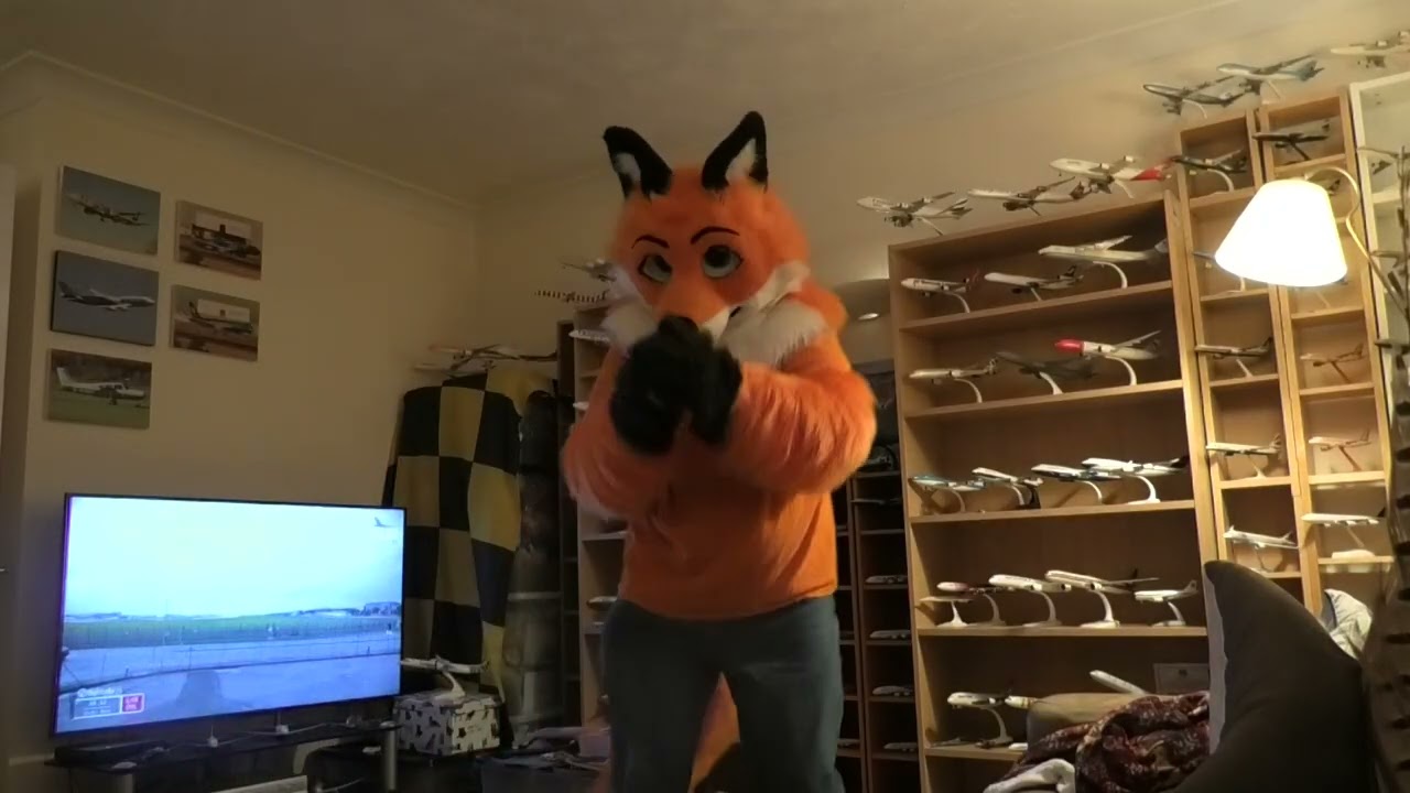 Jet Fox dances to Survive by Lewis Capaldi 