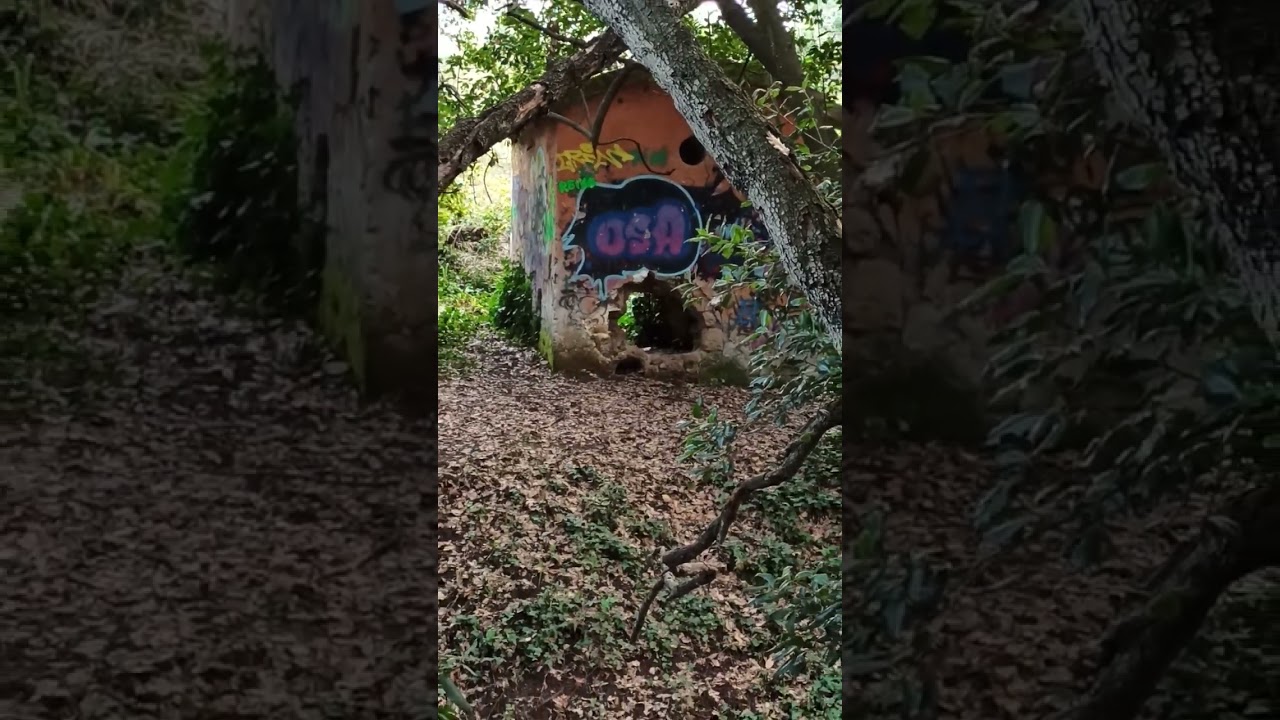 La cascatella nel parco della sughereta a Pomezia ⛲ 🌳🏞️ #shortvideo #video #rome #travel #youtube
