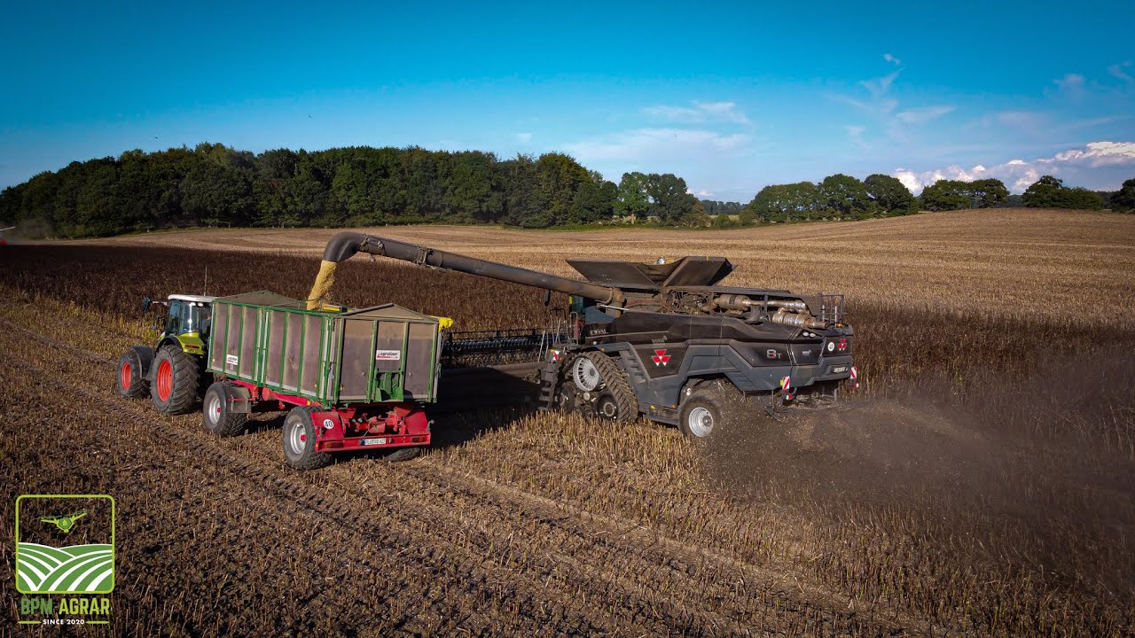 Bohnen dreschen im Doppelpack || MF Ideal 8T || Lexion 760 TerraTrac