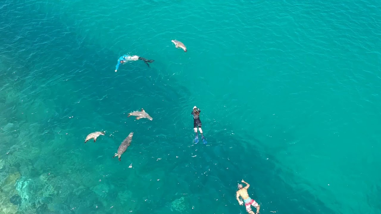 Expedition to the Houtman Abrolhos Islands - Mission Blue Hopespot