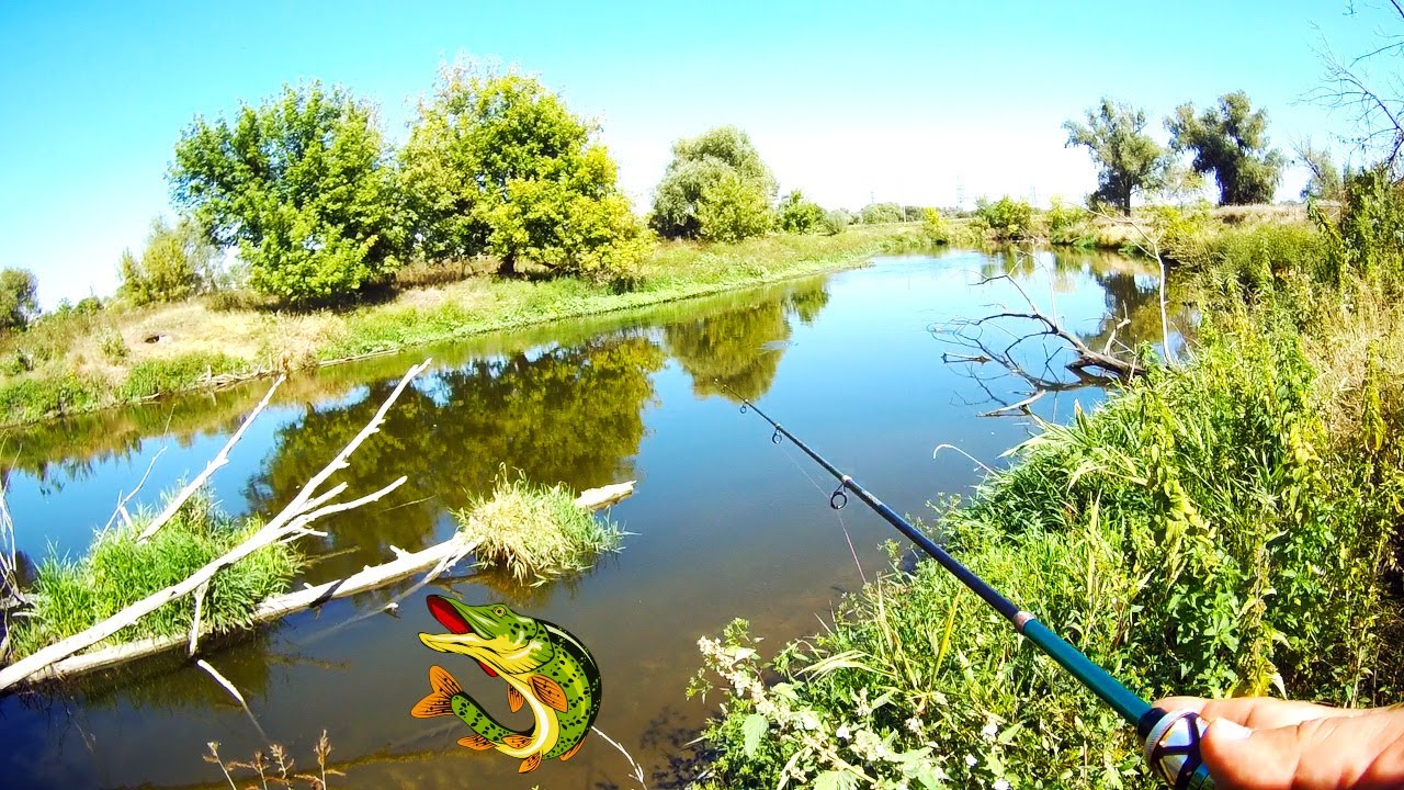 By the River With a Fishing Rod – Ultimate Solo Fishing Experience