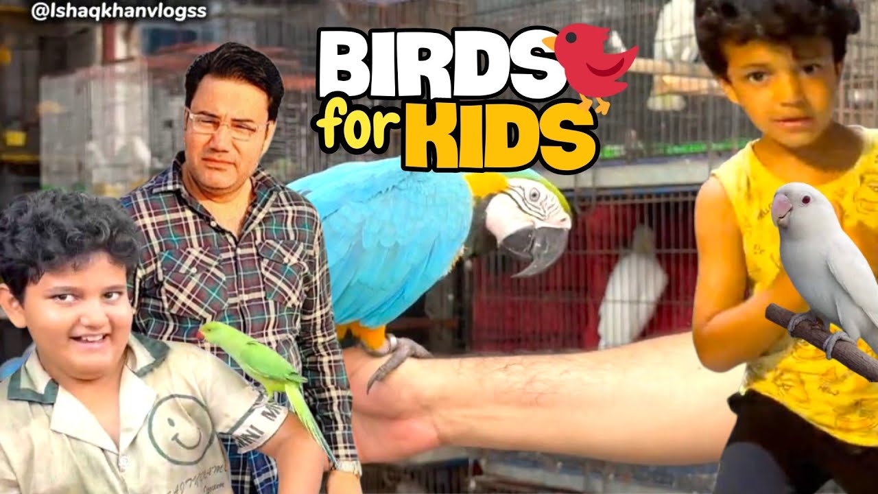 Saddar Empress Market | Most expensive birds, صدر ایمپریس مارکیٹ کے مہنگے ترین پرندے