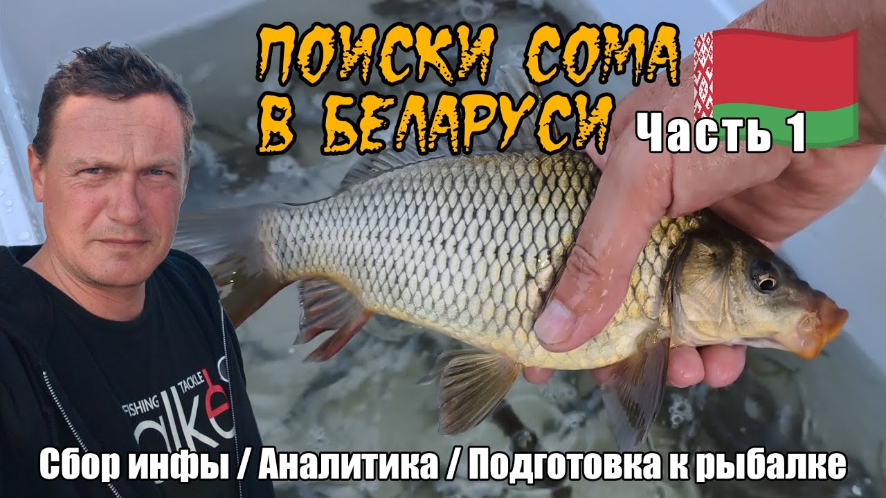Поиски сома в Беларуси. Часть 1: Подготовка к рыбалке – Ловим живца, собираем снасти. #сом