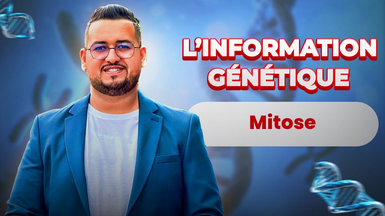 Mitose