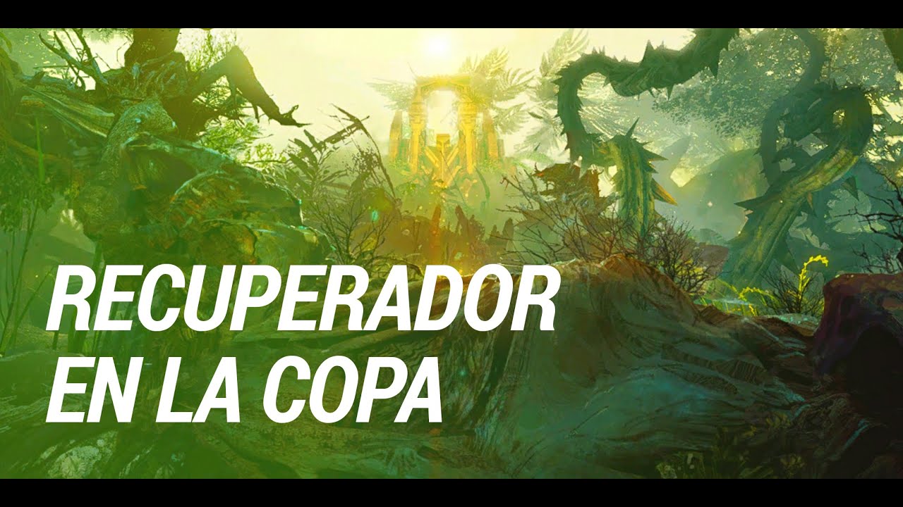Recuperadora en la copa - Valle Áurico #gw2 #guildwars2
