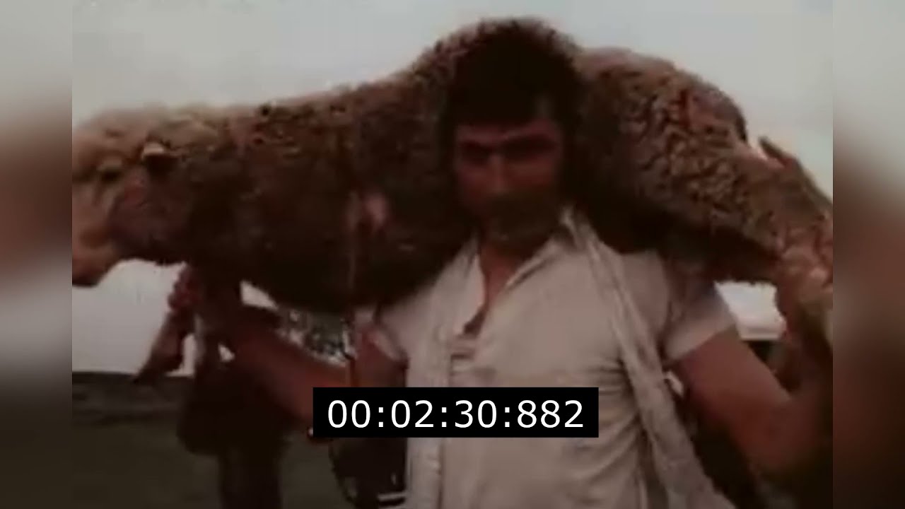 Борьба Корэш на празднике Сабантуй 1992 год
