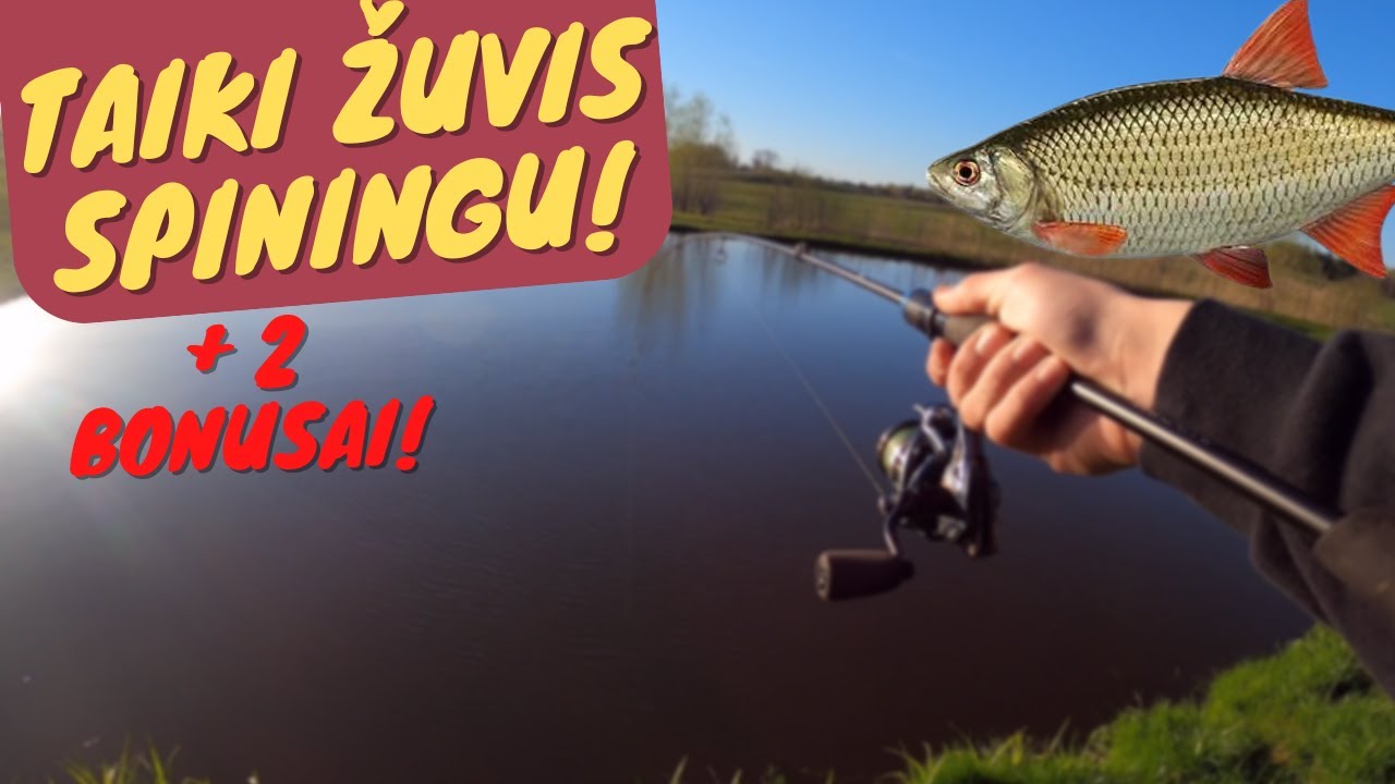 Как поймать мирную рыбу на спиннинг? + 2 бонуса!