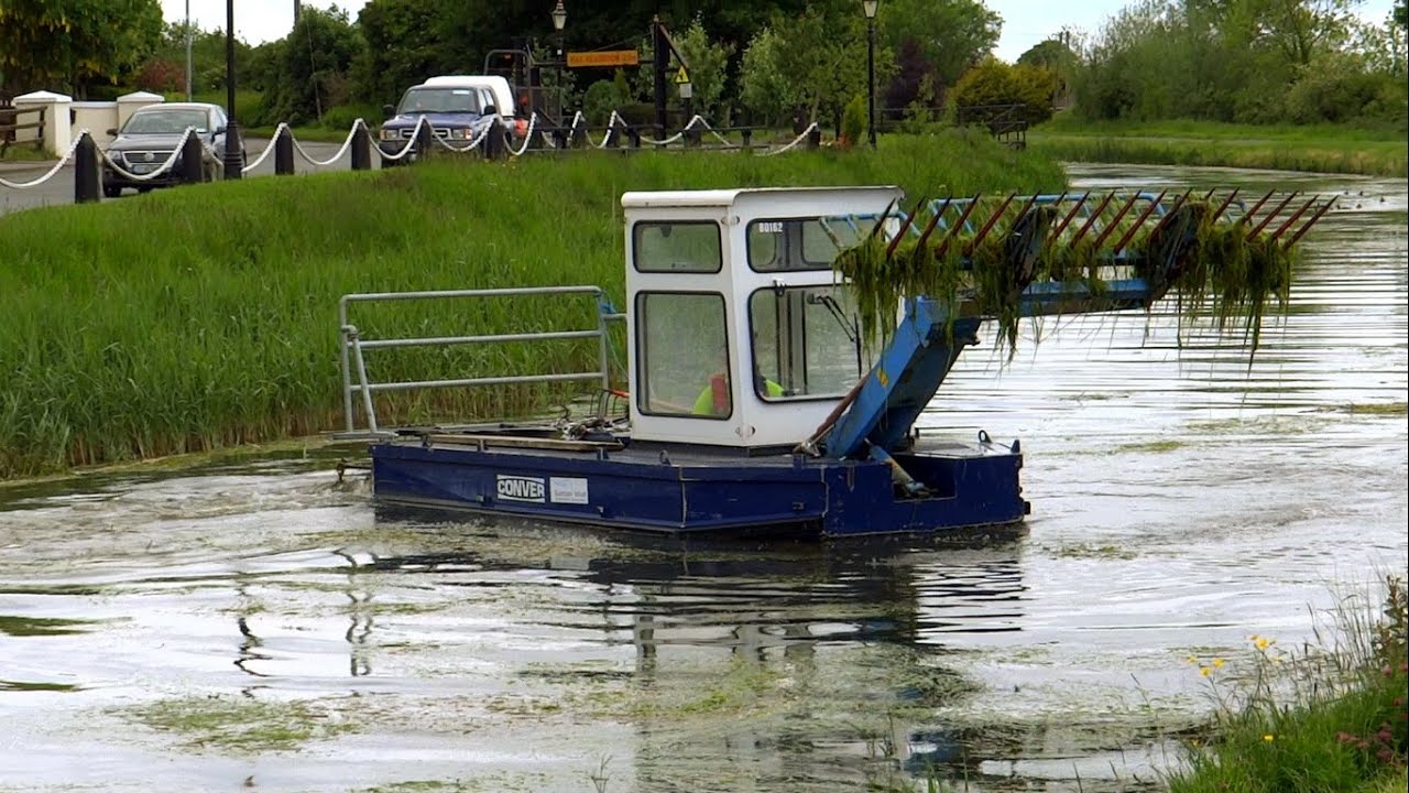 Who's killing fish / wild-life in canals, Ireland. 2015.
