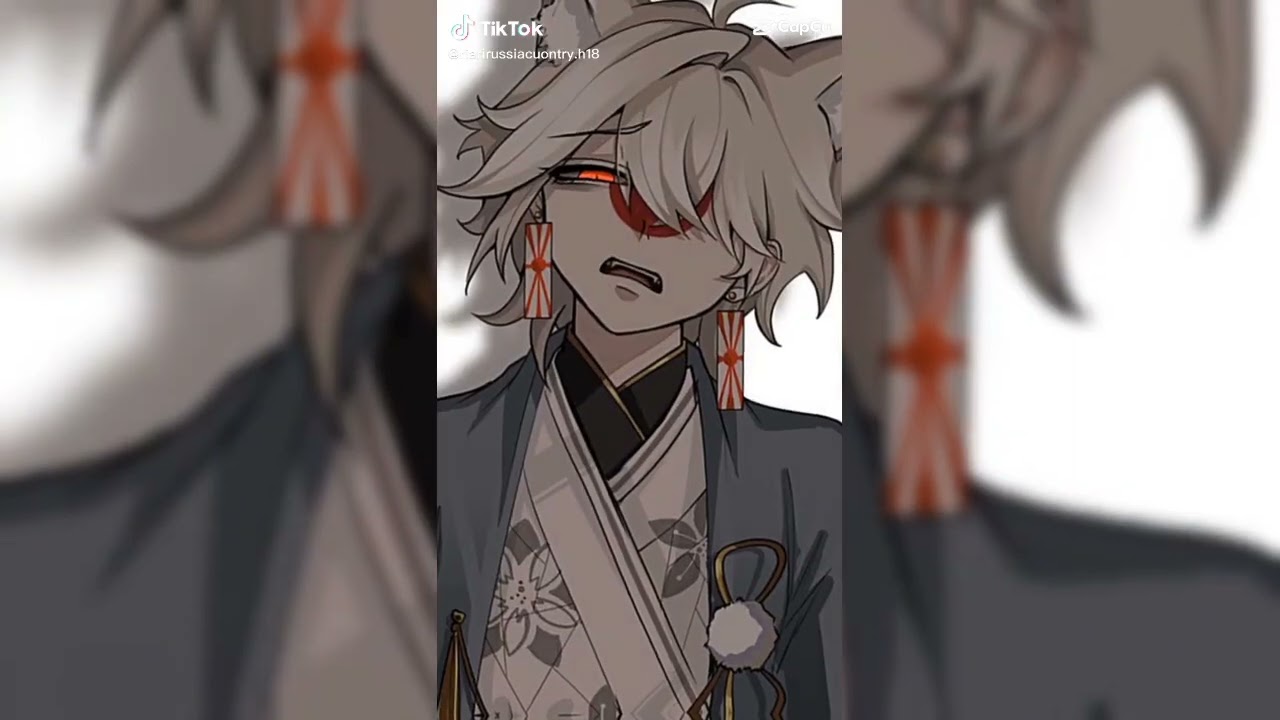 tổng hợp tiktok Coutryhumans