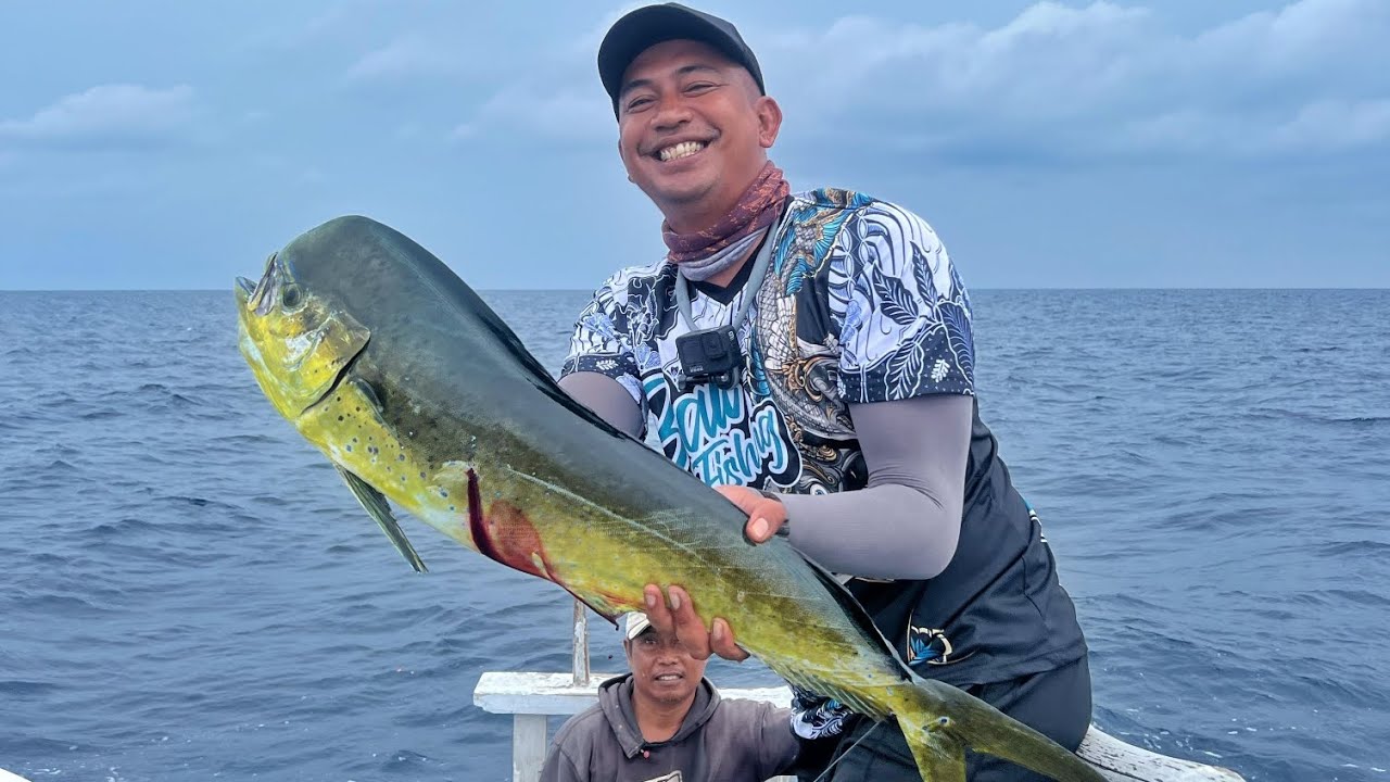 MANCING MAHI MAHI ‼️ PART 1 #311 