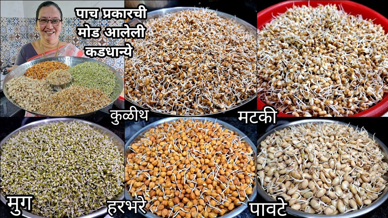 एका दिवसात कडधान्यांना मोड आणायची सर्वात सोप्पी पद्धत | वास/चिकट न होता 5 मोड कडधान्ये |कृष्णाई गझने