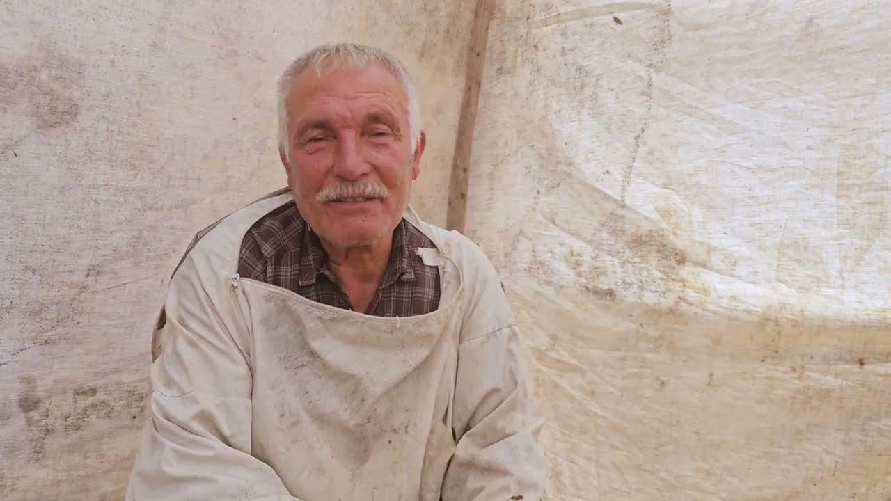 İlk Bal Hasadı 2025: Fiyatlar, Detaylar & Ger&ccedil;ek Veriler 🍯