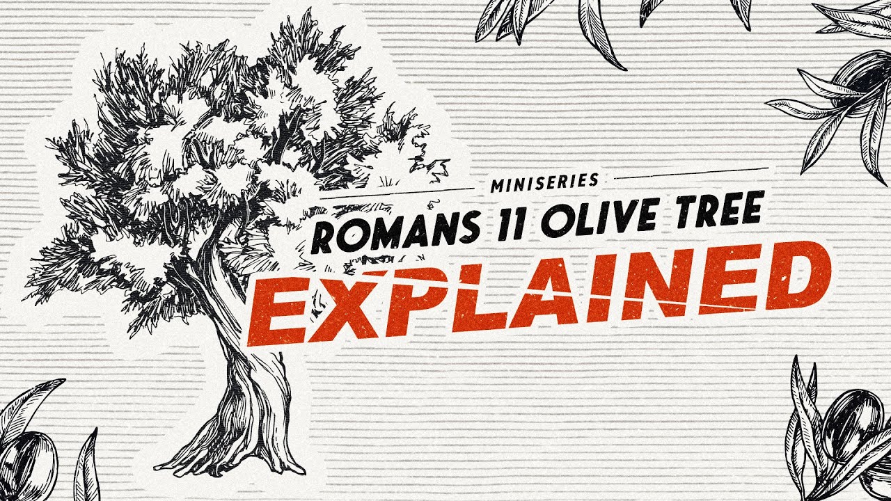 Romans 11 Olive Tree EXPLAINED | Gateway Center for Israel
