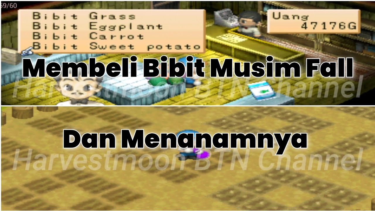 Menanam Empat Macam Bibit Di Musim Fall - Harvestmoon Back To Nature.