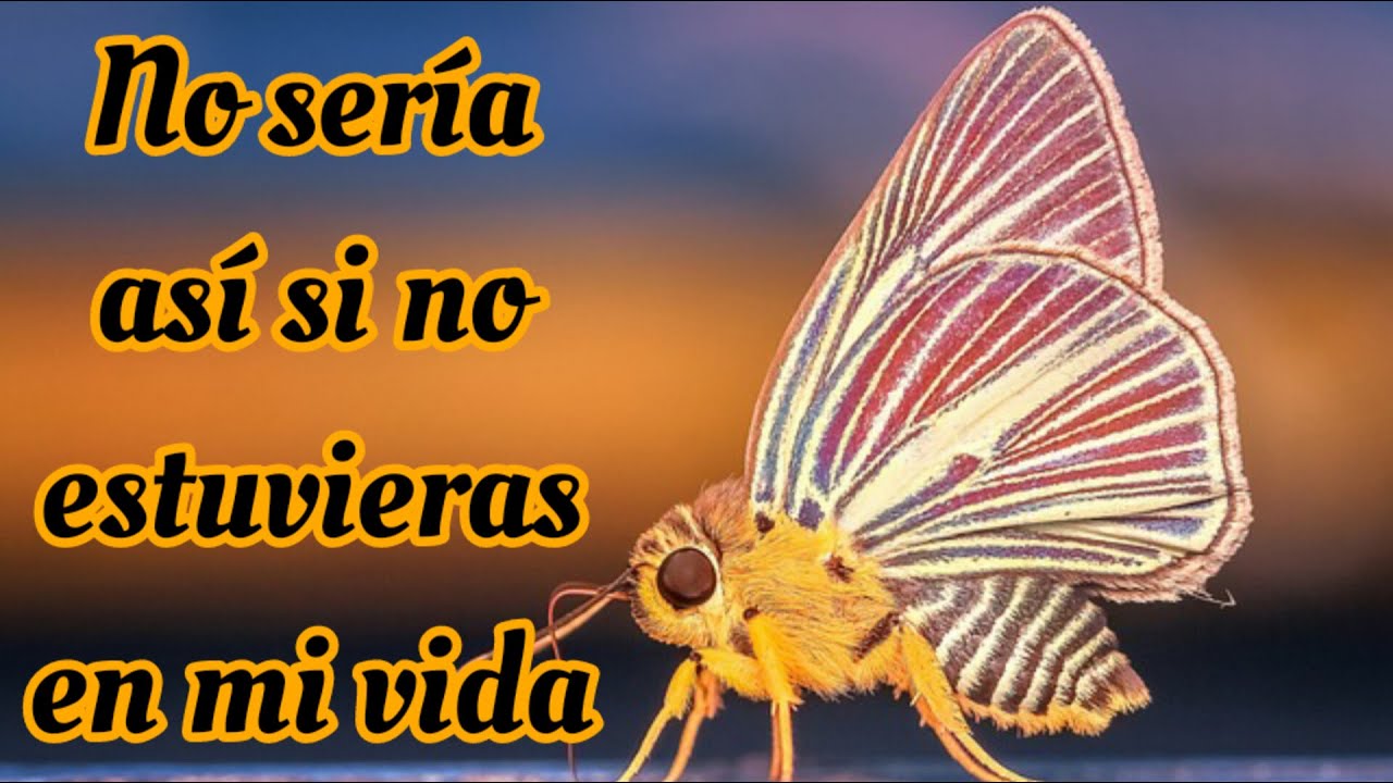 No sería así si tu no estuvieras