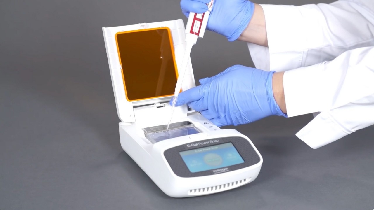 How to Use Invitrogen E-Gel Power Snap System | Fast Workflow