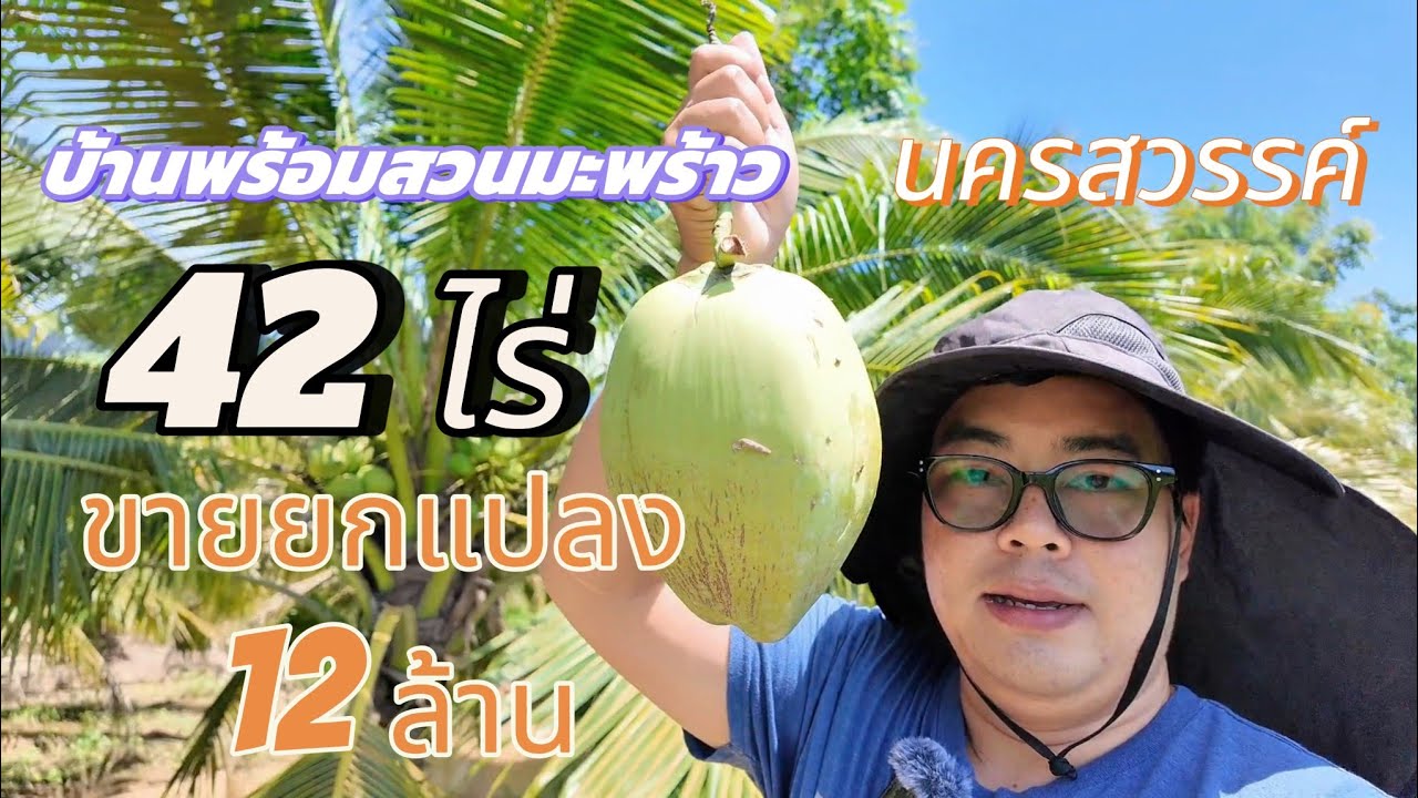 ขายบ้านพร้อมสวนมะพร้าว 42 ไร่ ขายยกแปลง 12 ล้าน #ขายสวนมะพร้าว #ขายที่ดินนครสวรรค์