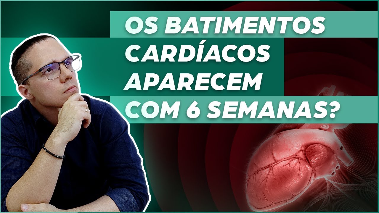 COM QUANTAS SEMANAS DE GRAVIDEZ JÁ DÁ PARA OUVIR OS BATIMENTOS CARDÍACOS DO BEBÊ PELO ULTRASSOM?