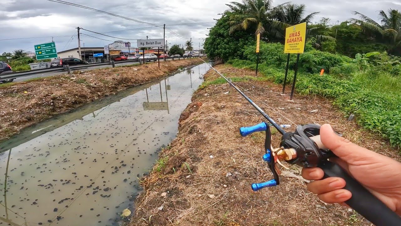 MISI MEMBURU Haruan Longkang di Tepi Jalan Yang Sesak!!