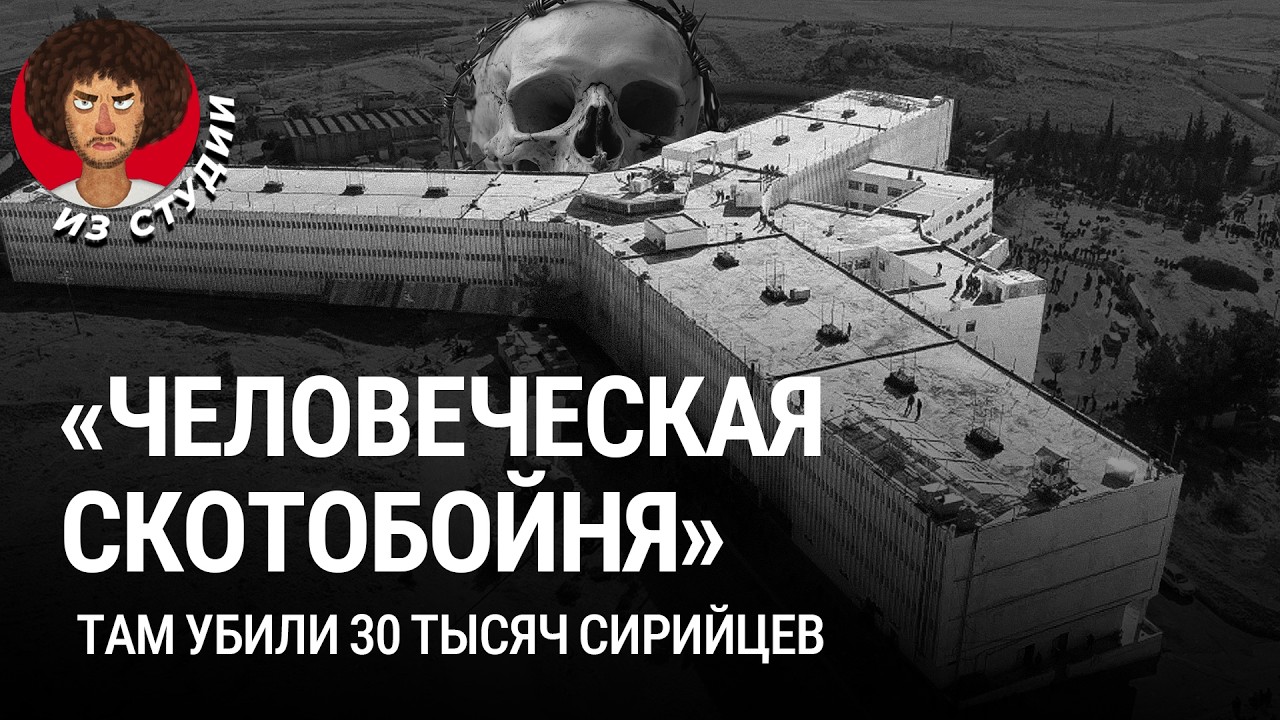 Тюрьмы Сирии: как режим Асада задавил общество | &laquo;Седная&raquo;, тайная полиция и оппозиция