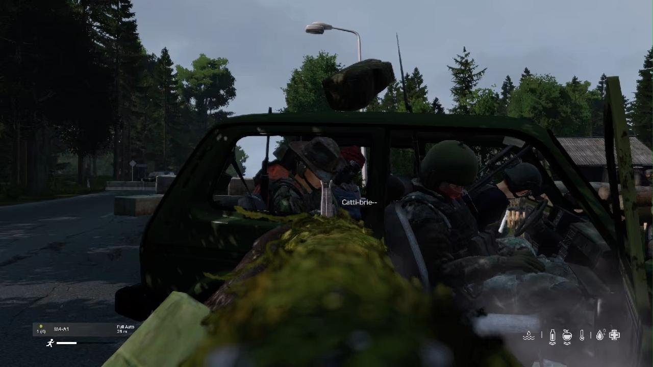 Infinite Loot Glitch - Official Dayz PS5